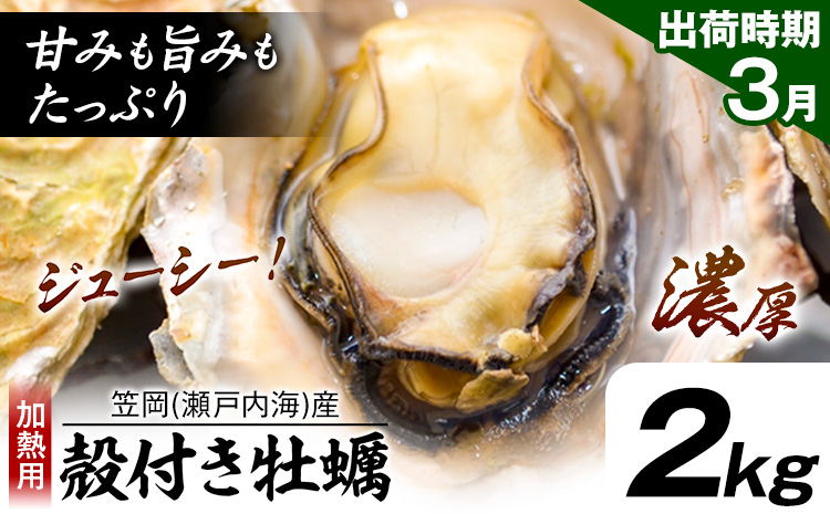 牡蠣事業者応援！ 笠岡産 (瀬戸内海産) 殻付き牡蠣 (加熱用) 2kg《3月上旬-3月末頃出荷》岡山県 笠岡市 かき カキ 牡蠣 生牡蠣 瀬戸内海産 殻付き