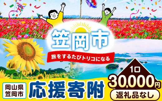岡山県 笠岡市 応援寄附 1口 30000円【返礼品なし】 st-p