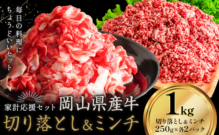 牛肉 国産 切り落とし ミンチ セット 家計応援 岡山県産牛 1kg (切り落とし500g・ミンチ500g) 1パック250g《60日以内に出荷予定(土日祝除く)》岡山県 笠岡市 肉 ひき肉 グルメ お取り寄せグルメ