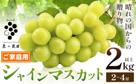 【2026年発送先行予約】シャインマスカット ご家庭用 晴れの国からの贈り物 シャインマスカット 2kg 以上 2房 〜 4房《2026年9月上旬-10月中旬頃出荷》 東山農園 ブドウ 葡萄 マスカット 果物 フルーツ ギフト 岡山県 笠岡市