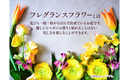 繝輔Ξ繧ー繝ゥ繝ウ繧ケ繝輔Λ繝ッ繝シ F-07 繧エ繝ォ繝輔い繝ャ繝ウ繧ク 繧ソ繧、繝祐 繝輔Ο繝シ繝ェ繧ケ繝郁成縲30譌・莉・蜀縺ォ蜃コ闕キ莠亥ョ(蝨滓律逾晞勁縺)縲句イ。螻ア逵 隨蟯。蟶 闃ア 雍亥争蜩 雍医j迚ゥ 繝励Ξ繧シ繝ウ繝 繧、繝ウ繝繝ェ繧「 繧エ繝ォ繝
