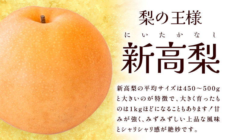 梨 岡山県産 新高梨 約4kg 3~6玉 株式会社山博《2026年9月下旬-11月上旬頃出荷》新高 フルーツ 化粧箱入り 岡山県 笠岡市 送料無料