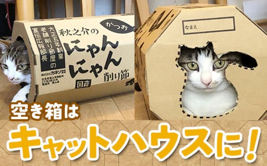 A-84 ç§ä¹ä»ã®ã«ããã«ããåãç¯ 1ã±ãŒã¹ 22gÃ10è¢ æ ªåŒäŒç€Ÿã«ããœ22 ã45æ¥ä»¥å
ã«åºè·äºå®(忥ç¥é€ã)ãç« ãã³ ãã ãã〠åãç¯ ããçšãã€ãç¯ ãããããŒã ãã£ããããŒã åœç£ é°¹ç¯ ãã£ããããŠã¹ 岡山ç ç¬ å²¡åž