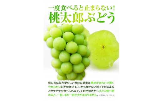 å
è¡äºçŽ å²¡å±±çç£ æ¡å€ªéã¶ã©ã ïŒ1æ¿680g以äžïŒ 1æ¿å
¥ã ã¶ã©ã ãã«ãŒã 什å8幎ç£å
è¡åä»ã2026幎9æäžæ¬-10æäžæ¬é åºè·ããé
éäžå¯å°åãããH-26b