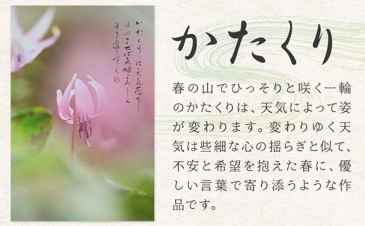 絵 書 書道 アート 季節の絵と書 かたくり 楠戸宇亭《90日以内に出荷予定(土日祝除く)》岡山県 笠岡市 送料無料 美術 作品 日本画 絵 インテリア