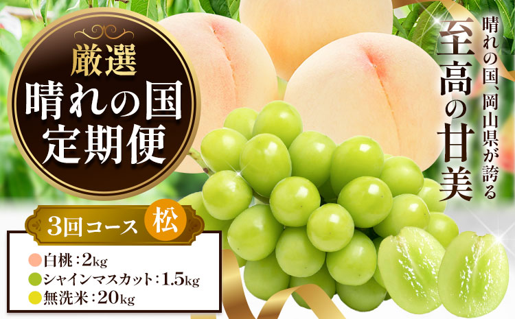フルーツ 厳選 晴れの国定期便 シャインマスカット 1.5kg 白桃 2kg 米 20kg 無洗米 3回 お届け 定期便 《ページ内記載の時期に発送》 果物 マスカット 桃 こめ コメ 岡山県 笠岡市---kasaoka_zsytei_361_matu3---