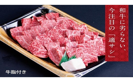 牛肉　B-07 瀬戸の姫（焼肉用）《45日以内に出荷予定(土日祝除く)》