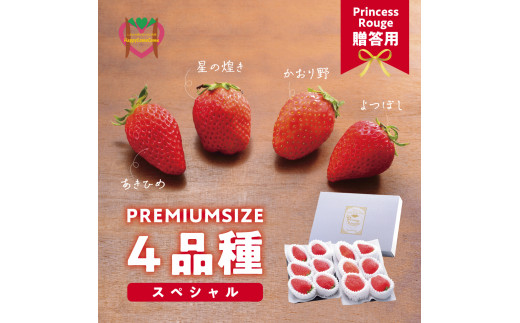 いちご　 しあわせ届けるいちご農園HappyComeComeのいちご4品種スペシャルセット《12月中旬-3月下旬頃出荷》