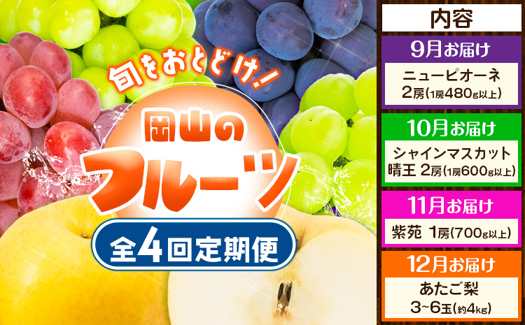 【4回定期便】ぶどう 梨 岡山のフルーツ定期便 4回コース 岡山県産 シャインマスカット 晴王 ニューピオーネ 紫苑 あたご 株式会社山博《2026年9月上旬-12月末頃出荷》岡山県 笠岡市 フルーツ 果物 ぶどう あたご梨 マスカット お取り寄せ【配送不可地域あり】