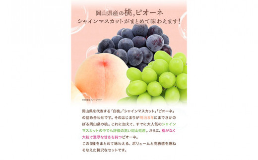 【2026年先行予約】 桃 シャインマスカット ピオーネ 詰め合わせ 約1.8kg クール便 冷蔵便 桃 もも 葡萄 ブドウ ぶどう マスカット フルーツ セット 先行予約 晴れの国おかやま館 《《2026年8月下旬‐9月中旬頃出荷》 フルーツ 果物 果実 岡山県 笠岡市