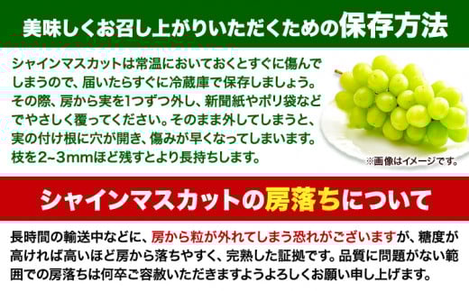 【先行予約】食べ比べセット たたらみねらる シャインマスカット 瀬戸ジャイアンツ 約2kg(各２房)《2026年8月下旬-10月下旬頃出荷予定》岡山県 笠岡市 マスカット ぶどう ブドウ 葡萄 フルーツ 果物 たたらみねらる 食べ比べ セット