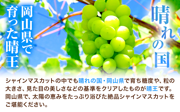 岡山çç£ãã¥ãŒããªãŒãïŒã·ã£ã€ã³ãã¹ã«ãããæŽçã Bã»ãã ïŒ1æ¿580g以äžïŒ å
è¡åä»ã9æäžæ¬-10æäžæ¬é ããé
éäžå¯å°åããã