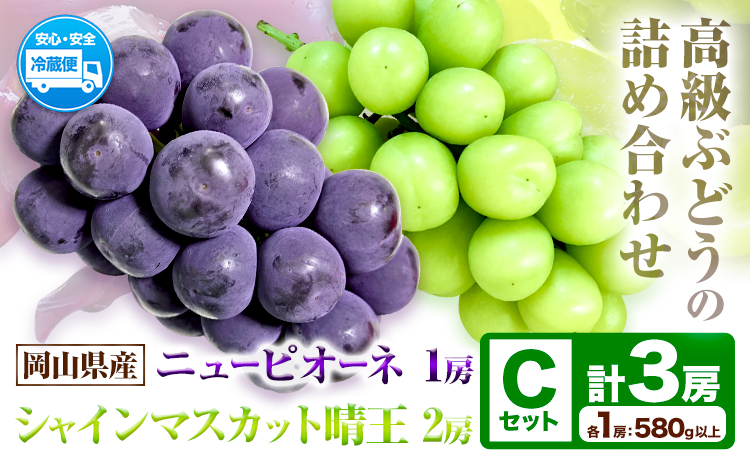 岡山県産ニューピオーネ＆シャインマスカット「晴王」 Cセット （1房580g以上） 先行受付《9月上旬-10月下旬頃》【配送不可地域あり】
