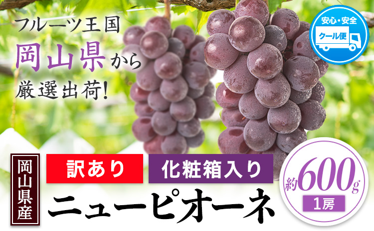 訳あり ニューピオーネ 約600g(1房) 《8月下旬-10月下旬頃出荷(土日祝除く)》岡山県 笠岡市 葡萄 果物 秋旬 訳あり 優品 厳選出荷 スイーツ フルーツ デザート 数量限定 2026