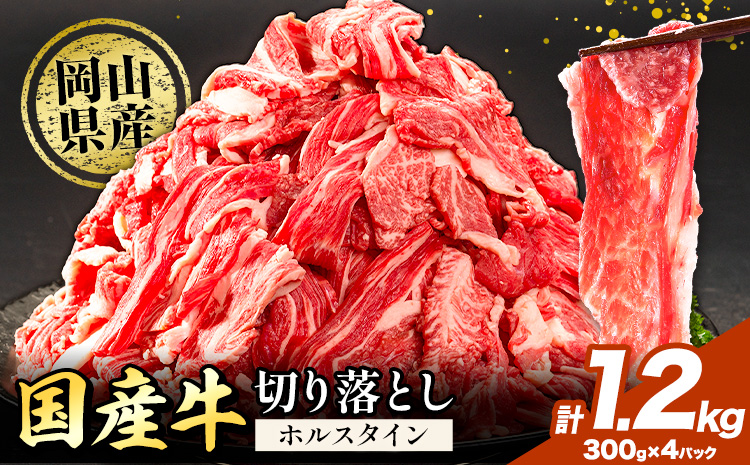 牛肉 肉 国産牛 切り落とし ホルスタイン 大容量 小分け 1.2kg 《30日以内に出荷予定(土日祝除く)》岡山県産 岡山県 笠岡市 お肉 にく カレー 牛丼 牛肉 切り落し 小分け 切落し 牛肉 小分け 牛肉