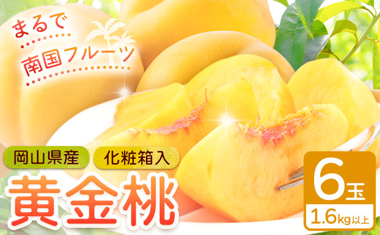 桃 岡山県産 黄金桃 6玉 1.6kg以上 株式会社山博《2026年8月下旬-9月中旬頃出荷》もも フルーツ 化粧箱入り 岡山県 笠岡市 送料無料