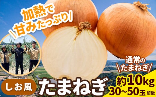 たまねぎ【先行予約】しお風たまねぎ 約10kg《6月上旬-6月末頃出荷》 玉ねぎ たまねぎ 野菜 青果物 岡山県 笠岡市 玉ねぎ 10kg  一万円以下 一万以下 10000円以下
