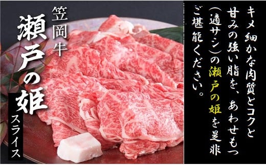 牛肉　B-08 瀬戸の姫（スライス）《45日以内に出荷予定(土日祝除く)》