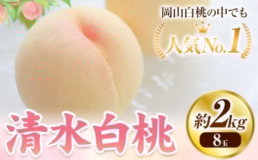 【2026年発送先行予約】清水白桃　約2kg 8玉《2025年7月下旬-8月上旬頃出荷》