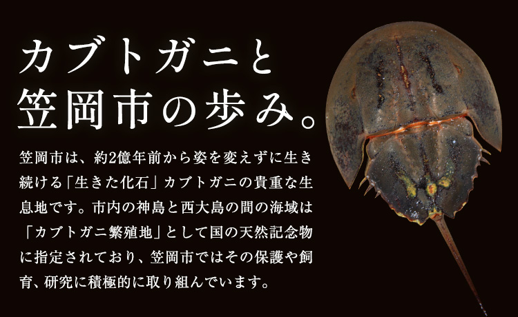 レザー 革製 カブトガニ タックピン 革 ネイビー JS stage株式会社 《30日以内に出荷予定(土日祝を除く)》岡山県 笠岡市 ハンドメイド ファッション イタリアンレザー