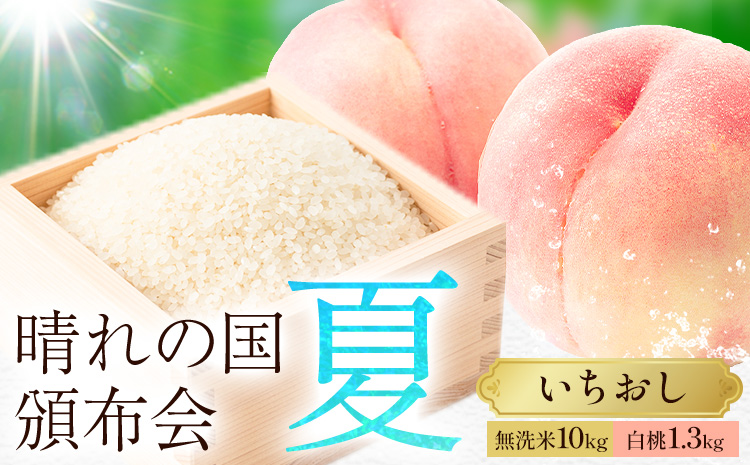 晴れの国頒布会 夏 いちおし 無洗米 10kg 白桃 1.3kg[ページ内記載の時期に発送]岡山県 笠岡市 フルーツ 旬 果物 桃 コメ お取り寄せ