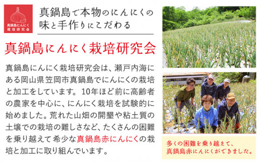 にんにく　B-142  真鍋島赤にんにくの伝統食品詰め合わせAセット 真鍋島にんにく栽培研究会《45日以内に出荷予定(土日祝除く)》にんにく 真鍋島 オリーブオイル にんにく卵黄 しょうゆ漬け