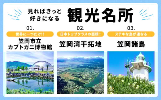 岡山県 笠岡市 応援寄附 1口 5000円【返礼品なし】 st-p