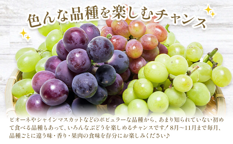 ã2026幎çºéå
è¡äºçŽãã¶ã©ã 4ã¶æ èš10å å®æäŸ¿ 岡山 ã® ã¶ã©ã åæ° 10çš® å700g èš7kg æŽãã®åœããããŸé€š(æŒæµå²¡å±±)ã2026幎8æäžæ¬-11æäžæ¬é åºè·ã岡山ç ç¬ å²¡åž ã¶ã©ã ãã¹ã«ãã æç© ãã«ãŒã ãã¶ãŒã éæç¡æ ãé
éäžå¯å°åãããïŒé¢å³¶ïŒ