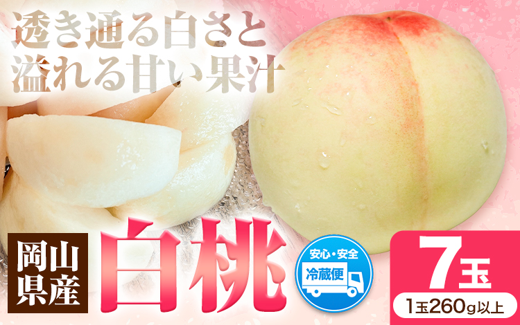 先行受付 岡山県産 白桃 1玉 260g以上 7玉入り ロイヤル 《7月中旬-8月下旬頃出荷》 【配送不可地域あり】