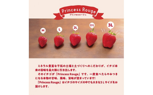 いちご　 しあわせ届けるいちご農園HappyComeComeの紅白いちご2品種食べ比べセット 400g以上《12月中旬-3月下旬頃出荷》