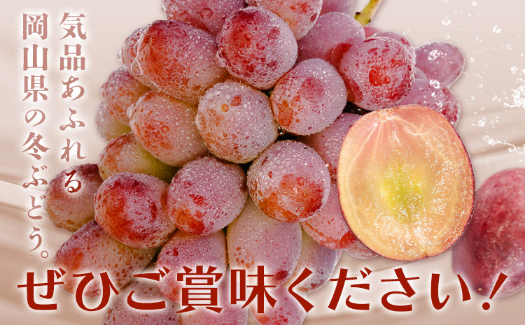 縺カ縺ゥ縺 邏ォ闍 縺励∴繧 繝輔Ν繝シ繝 700g莉・荳 1謌ソ 蛹也イァ邂ア蜈・繧 譬ェ蠑丈シ夂、セ螻ア蜊壹2026蟷エ10譛井ク区流-11譛井ク区流鬆蜃コ闕キ縲句イ。螻ア逵 隨蟯。蟶 騾∵侭辟。譁 繝悶ラ繧ヲ 譫懃黄 譌ャ 蝗ス逕」 蟯。螻ア逵檎肇縲宣埼∽ク榊庄蝨ー蝓溘≠繧翫