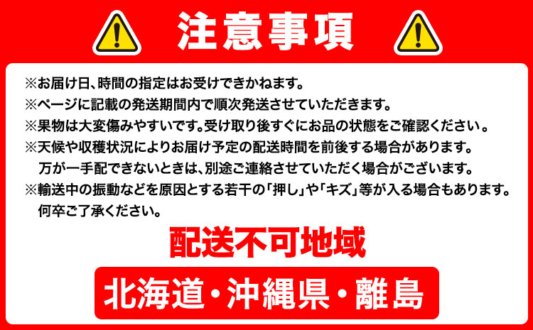 【2026年先行予約】あたご梨 約1.7kg (2玉) 化粧箱入り 株式会社山博《11月下旬-12月下旬頃出荷》岡山県 笠岡市 なし 梨 ナシ 愛宕梨 果物 大玉 岡山県産 国産 送料無料【配送不可地域あり】
