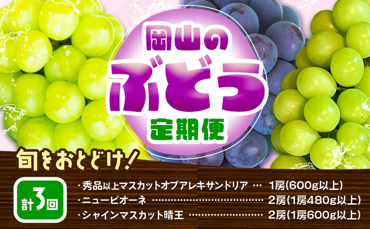 【3回定期便】ぶどう 定期便 計3回コース 岡山県産 シャインマスカット 晴王 ニューピオーネ マスカットオブアレキサンドリア 化粧箱入り 株式会社山博《2026年7月上旬-9月末頃出荷》岡山県 笠岡市 フルーツ 果物 定期 ぶどう マスカット【配送不可地域あり】