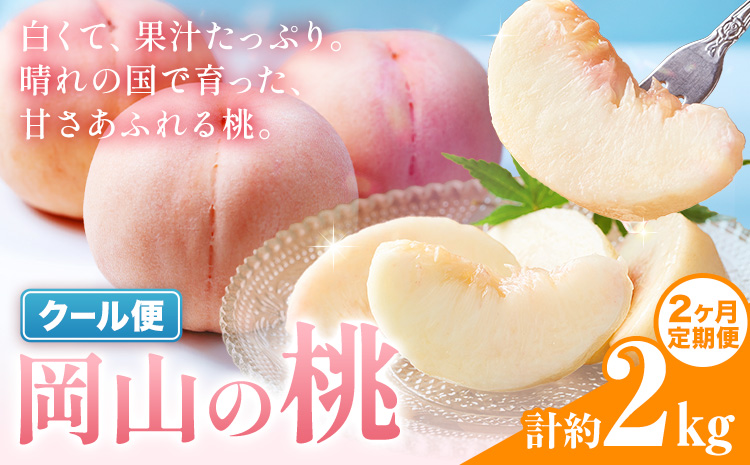 [2ヶ月定期便]桃 岡山の桃 約1kg(3〜5玉)×2回発送[7月上旬-8月末頃発送]岡山県 笠岡市 白桃 岡山 はくとう スイーツ フルーツ 果物 デザート 旬 モモ もも 送料無料 果物 清水白桃 白鳳 白麗 クール便