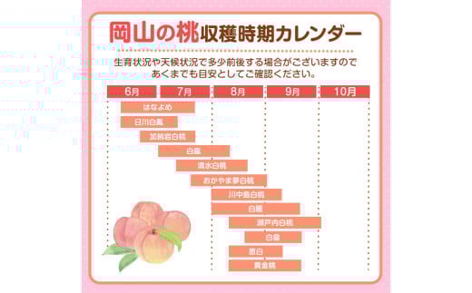 【先行受付】岡山の桃 約1kg (3~5玉前後)白桃 岡山 はくとう スイーツ フルーツ 果物 デザート 旬 モモ もも 先行予約 送料無料 果物 岡山県 笠岡市 清水白桃 白鳳 白麗 クール便《2026年6月下旬-9月上旬頃出荷》 