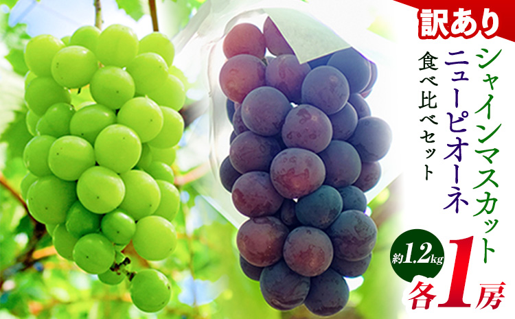 岡山県産 ニューピオーネ シャインマスカット ぶどう詰め合わせ 約1.2kg 2房 葡萄 果物 訳あり 優品 厳選出荷 スイーツ フルーツ デザート 岡山県 笠岡市《9月上旬～10月下旬頃に出荷予定(土日祝除く)》数量限定 種なしぶどう
