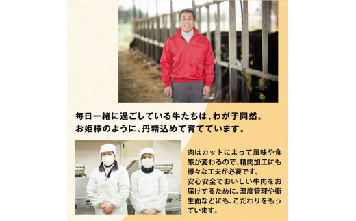 牛肉　B-08 瀬戸の姫（スライス）《45日以内に出荷予定(土日祝除く)》