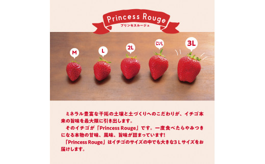 いちご　 しあわせ届けるいちご農園HappyComeComeのいちご4品種スペシャルセット《12月中旬-3月下旬頃出荷》