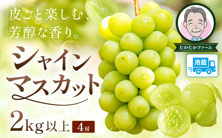 ぶどう シャインマスカット マスカット 4房 2kg 《9月上旬-9月下旬頃出荷》 たかたかファーム ブドウ 葡萄 マスカット 果物 フルーツ ギフト 岡山県 笠岡市