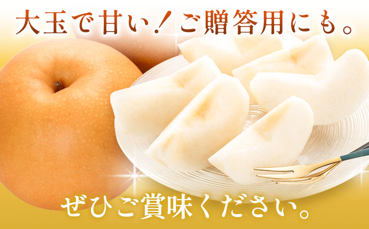 梨 岡山県産 新高梨 約4kg 3~6玉 株式会社山博《2026年9月下旬-11月上旬頃出荷》新高 フルーツ 化粧箱入り 岡山県 笠岡市 送料無料