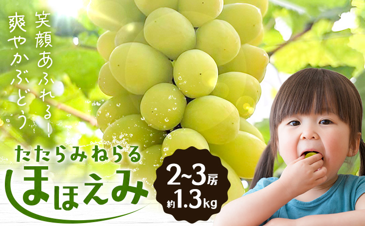 ãå
è¡äºçŽããããã¿ããã ã»ã»ãã¿ 2-3æ¿(çŽ1.3kg) ïŒïŒ§ïŒãã£ã¹ããªãã¥ãŒã¿ãŒæ ªåŒäŒç€Ÿã2026幎8æäžæ¬-10æäžæ¬é åºè·ã岡山ç ç¬ å²¡åž æç© ãã«ãŒã ãã㊠ãåãå¯ããã«ãŒã ã·ã£ã€ã³ãã¹ã«ãã ã®äº€é
åçš®