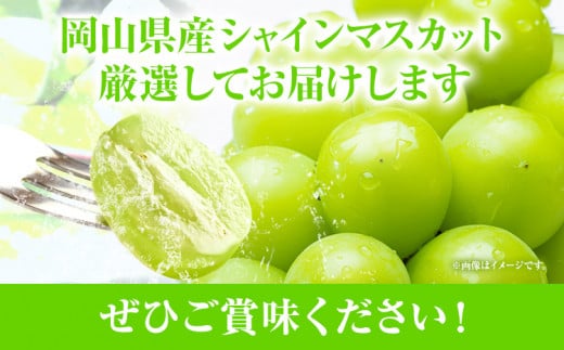 å®¶åºçšã€ãä»ãã·ã£ã€ã³ãã¹ã«ãã 3æ¿(1æ¿530g以äž)ãé
éäžå¯å°åãããæéäŒç€ŸããŒãã£ã«ã«ãã£ãŒç¥å³¶ 什å8幎床å
è¡åä»ã2026幎9æäžæ¬-10æäžæ¬é åºè·ã岡山ç ç¬ å²¡åž éæç¡æ è¡è ãã«ãŒã æç© ã·ã£ã€ã³ãã¹ã«ãã ã€ãä»ã ãåãå¯ããã«ãŒã