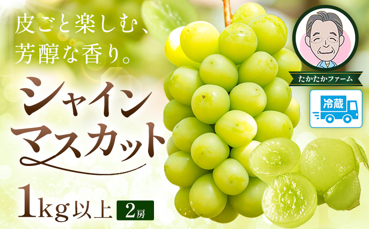 ぶどう シャインマスカット マスカット 2房 1kg 《9月上旬-9月下旬頃出荷》 たかたかファーム ブドウ 葡萄 マスカット 果物 フルーツ ギフト 岡山県 笠岡市