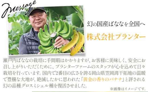 MUSA 体おもいのデザート スプレッド 2個 (糀カカオ＋糀カカオ)  株式会社プランター 《30日以内に出荷予定(土日祝除く)》 糀 抹茶 カカオ バナナ お菓子 パン