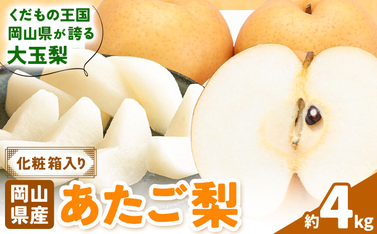【2026年先行予約】あたご梨 約4kg (3-6玉) 化粧箱入り 株式会社山博《11月下旬-12月下旬頃出荷》岡山県 笠岡市 なし 梨 ナシ 愛宕梨 果物 大玉 岡山県産 国産 送料無料【配送不可地域あり】