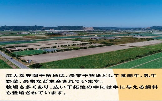 牛肉　B-08 瀬戸の姫（スライス）《45日以内に出荷予定(土日祝除く)》