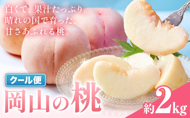 桃 岡山の桃 約2kg[6月下旬-9月上旬頃発送]岡山県 笠岡市 白桃 岡山 はくとう スイーツ フルーツ 果物 デザート 旬 モモ もも 送料無料 果物 清水白桃 白鳳 白麗 クール便