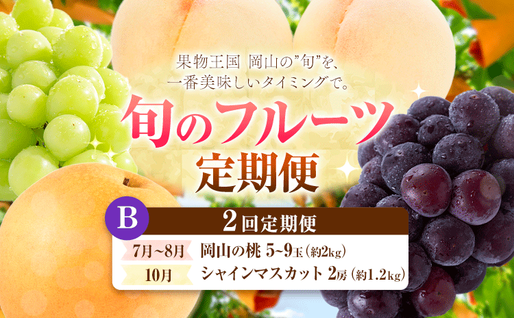 【定期便】旬のフルーツ定期便 岡山のﾌﾙｰﾂ 定期便 Bコース 2回定期便 岡山県産 桃 シャインマスカット ニューピオーネ 梨 《7月上旬-10月末頃出荷》岡山県 笠岡市 フルーツ 旬 果物 ぶどう 梨 マスカット お取り寄せ