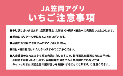 いちご 紅ほっぺ 1000g(250g×4パック) JA笠岡アグリ《1月中旬-3月末頃出荷》岡山県 笠岡市 送料無料 苺 フルーツ 果物 お取り寄せ【配達不可地域あり】
