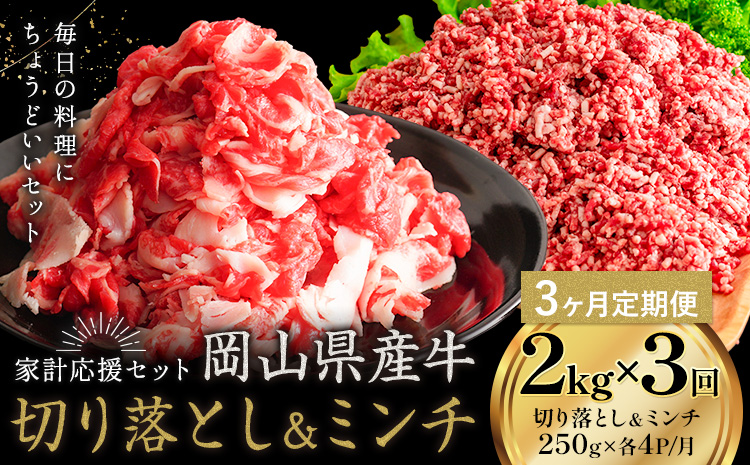 【3ヶ月定期便】牛肉 国産 切り落とし ミンチ セット 家計応援 岡山県産牛 2kg×3回 1パック250g《お申し込み月の翌月から出荷開始》岡山県 笠岡市 肉 ひき肉 グルメ お取り寄せグルメ